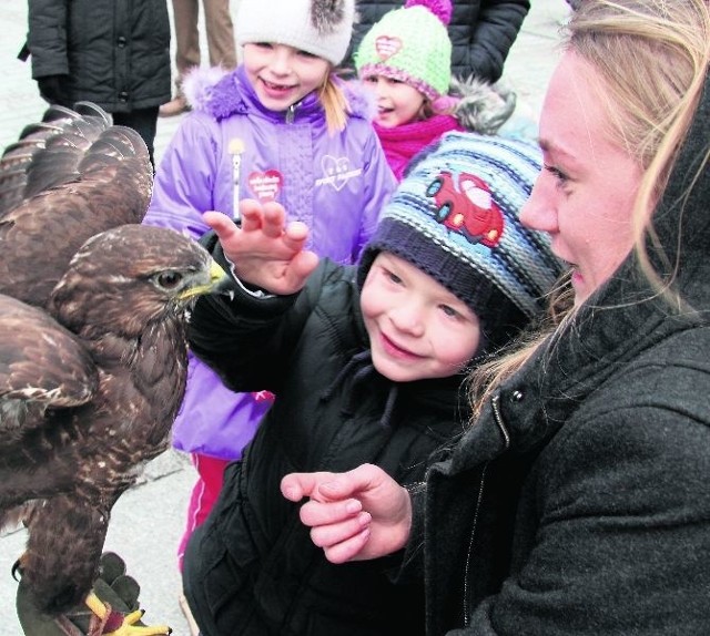 Każdy mógł pogłaskać drapieżne ptaki, które "prezentowali uczniowie z Zespołu Szkół Leśnych w Zagnańsku.