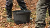 Leśnicy uzbrojeni w procę zdobywają pędy do rozmnażania sosen (wideo)
