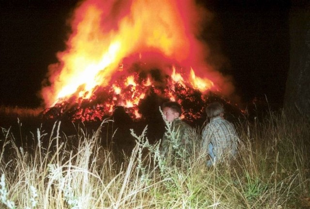 Pożary w lasach w Szydłowcu.