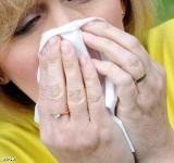 Na razie nie ma w Polsce innych przypadków zakażenia wirusem świńskiej grypy
