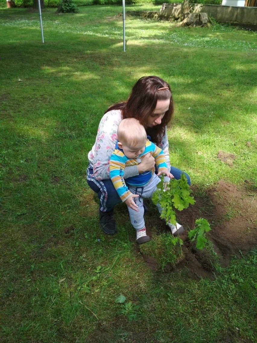 Jedno dziecko – jedno drzewo niezwykła akcja w Bolkowie [zdjęcia]