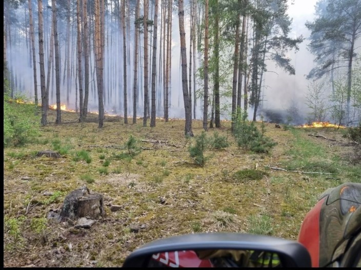 Ogromny pożar lasu w powiecie grójeckim. Płonie około sto hektarów! Zobacz wideo i zdjęcia