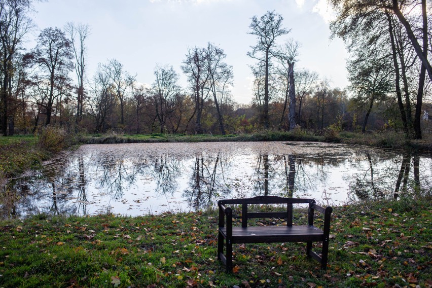 Dwór w Kościelnikach i okolica