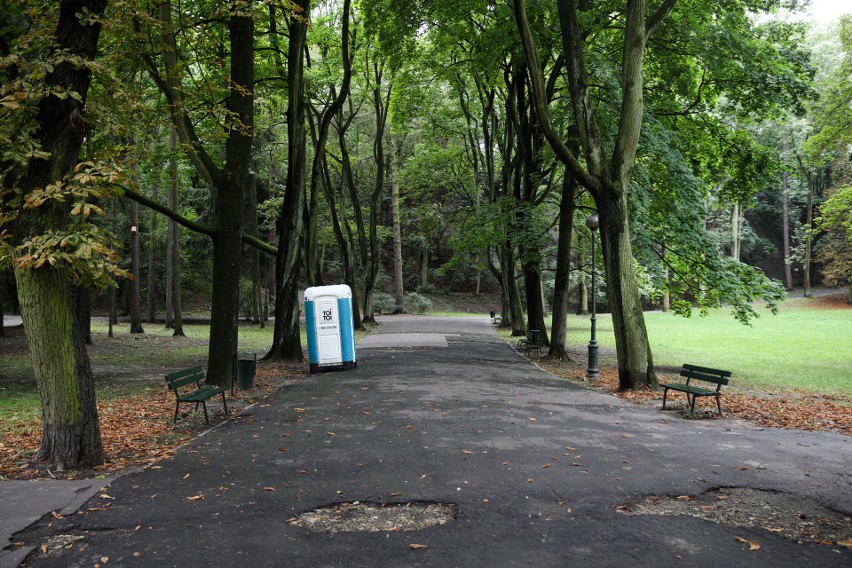 Kraków. Zabytkowy park Bednarskiego do remontu. Aktywiści alarmują: "wycięto już kilkaset drzew"