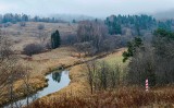 Urocza jesień na torfowisku w bieszczadzkiej Tarnawie [ZDJĘCIA]         