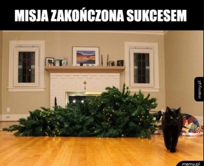 Kot i choinka to gotowa katastrofa? Najśmieszniejsze memy o miłości kotów do drzewek. Czy ten żywioł można okiełznać?