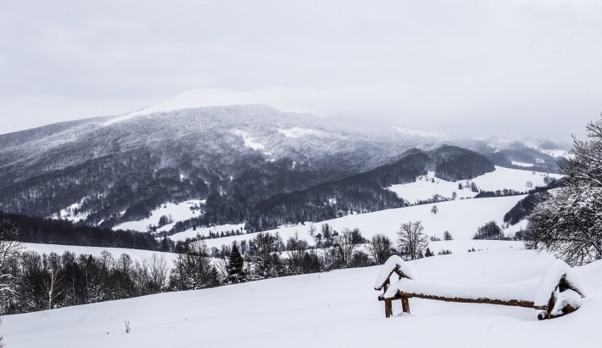 Bieszczady zimą są wyjątkowo piękne. Nie dziwi więc, że tak...