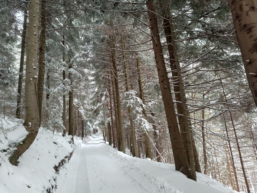 Drogi dojazdowe w Beskidach są zasypane śniegiem.