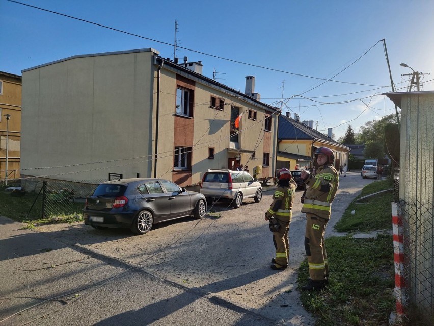 Wiatr powalił drzewo w Nehrybce pod Przemyślem. Mieszkańcy byli bez prądu [ZDJĘCIA]