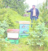 Pszczoły komendanta Straży Miejskiej w Białogardzie zagrażają dzieciom?