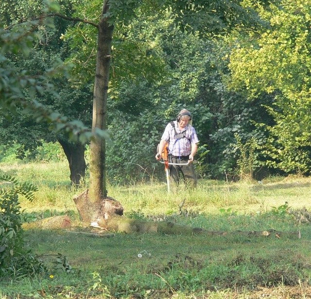 Po naszej interwencji chaszcze poszły pod kosę.