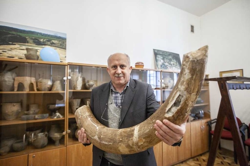 Muzeum Archeologiczne w Nowej Hucie pełne skarbów i tajemnic [ZDJĘCIA]