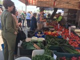 Ceny owoców i warzyw na targowisku w Ostrowcu w czwartek, 12 maja. Sprawdź, po ile szły 