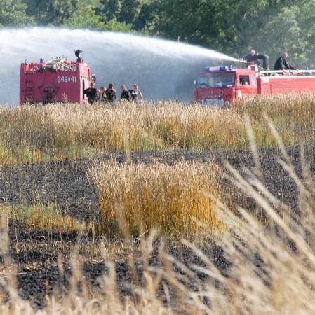 W akcji wzięły udział jednostki ochotników z Mozowa i Kijów oraz zawodowa z Sulechowa.