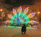 Krasnystaw rozświetlił się na święta! Zobacz zdjęcia nowych iluminacji w mieście