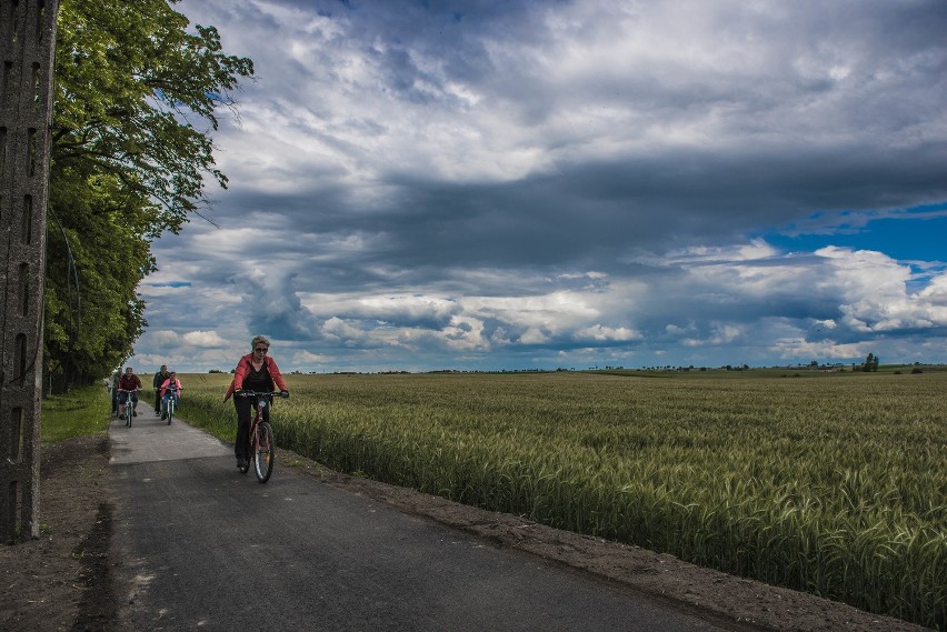 Ścieżka rowerowa Toruń - Chełmża już otwarta! [zdjęcia]