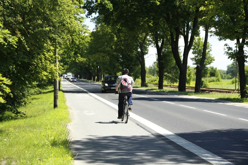 Pobliskie ścieżki rowerowe pozwolą aktywnie spędzić czas