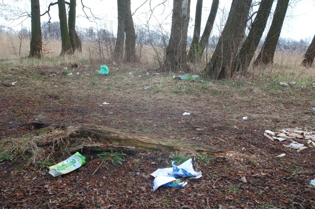 Tak wygląda cypel nad jeziorem koło wieży Bismarcka w Szczecinku