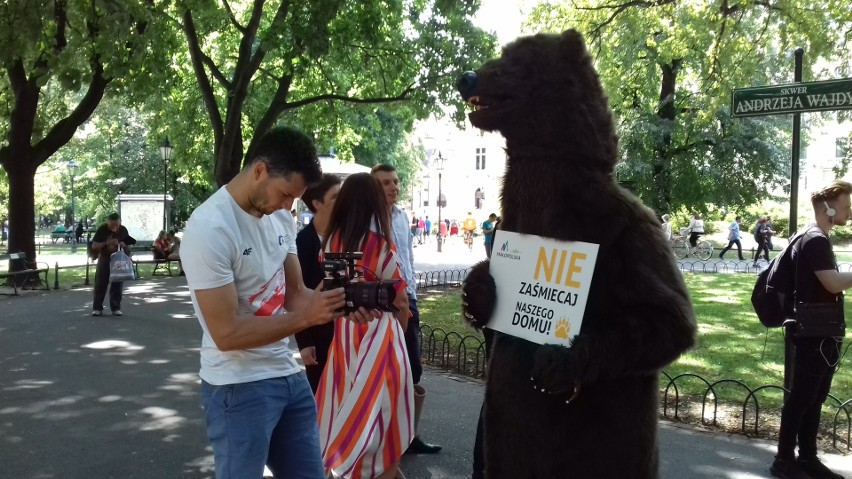 Kraków. Niedźwiedź brunatny z Tatr apeluje na Plantach: „Nie zaśmiecaj naszego domu”