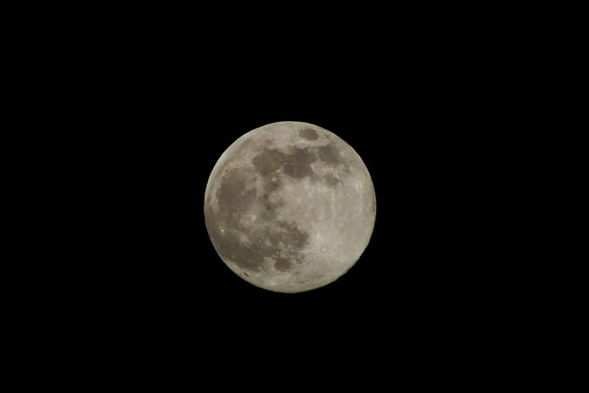 Pełnia Różowego Księżyca na zdjęciach naszych Czytelników