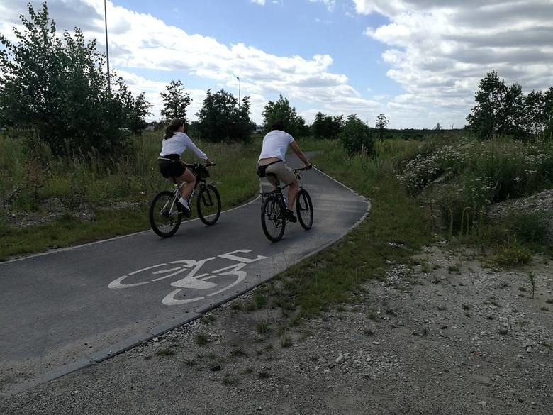 Rower staje się coraz popularniejszym środkiem transportu....