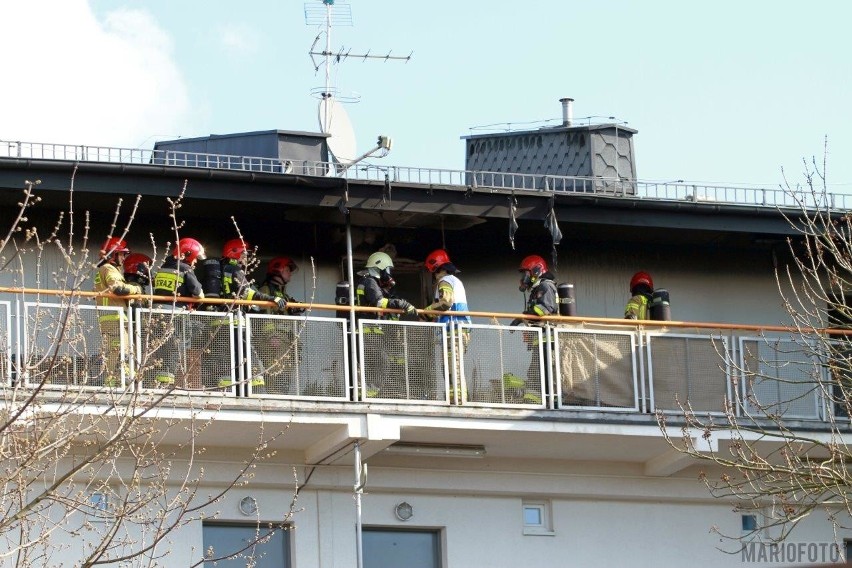 Pożar domu w Opolu. Dwie osoby poszkodowane. Akcja strażaków przy ulicy Walecki