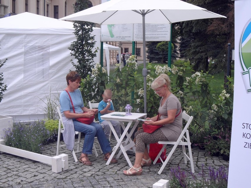 Dendronalia 2014. Do niedzieli trwa Żywiecki Festiwal Roślin [ZDJĘCIA]