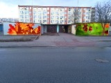 Pierwsze murale w Solcu. Nie ostatnie  