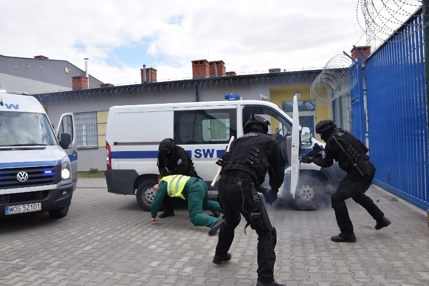 Zakład Karny w Przytułach Starych. Tego o nim nie wiedzieliście [ZDJĘCIA]