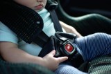 Śmierć dziecka w samochodzie w Szczecinie. Lekarze zbadają poczytalność matki. Trwa śledztwo w sprawie tragedii