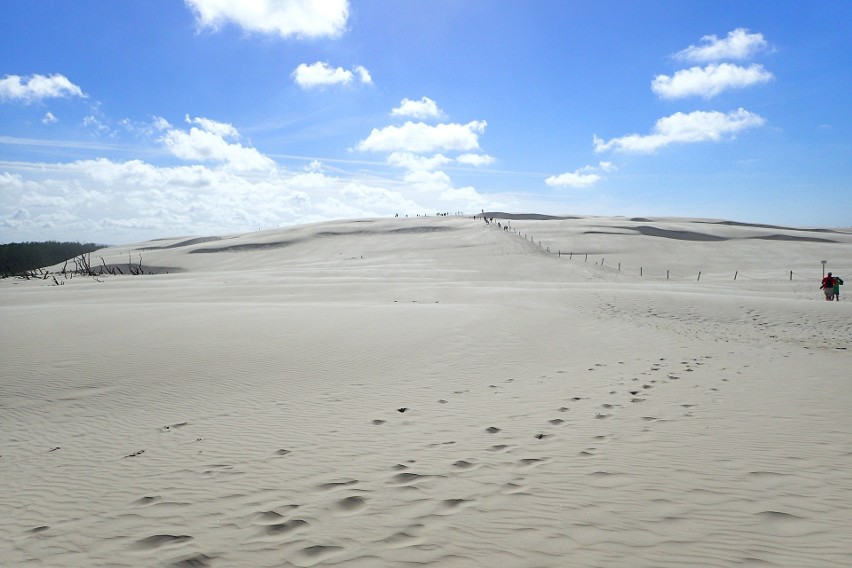 To największy w Europie obszar lotnych piasków, nazywany...