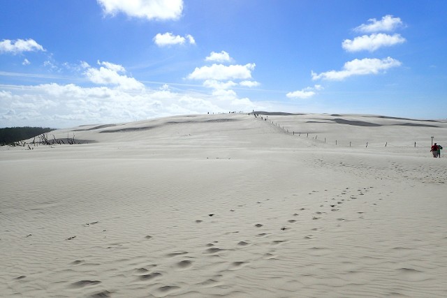 To największy w Europie obszar lotnych piasków, nazywany polską Saharą. Można tu faktycznie poczuć się jak na pustkowiach północnej Afryki i poobserwować ogromne wydmy, nieustannie zmieniające położenie.Zapraszamy do przewodnika po Słowińskim Parku Narodowym.Zdjęcie na licencji CC BY-SA 4.0.