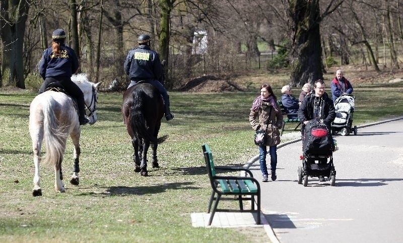 Gwałciciele wciąż na wolności! Straż miejska konno patroluje park [zdjęcia]