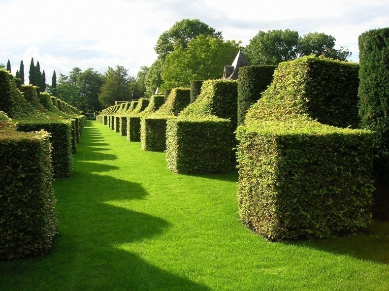 W ogrodzie francuskim przeważają kąty proste oraz wszelkie...