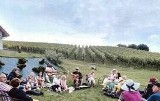 Udany piknik „U Sąsiada w Pieprzówkach” koło Sandomierza. Było wspólne wędrowanie, śpiewanie i degustacja win. Zobacz zdjęcia