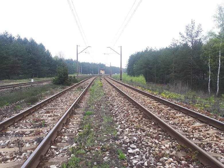 Pierwszy pociąg w ramach "Nowego Jedwabnego Szlaku" dotrze do Polski we wtorek