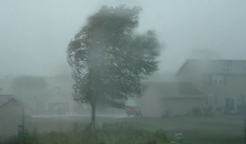 Porywy wiatru w Lubuskiem będą przekraczać 100 km/h.