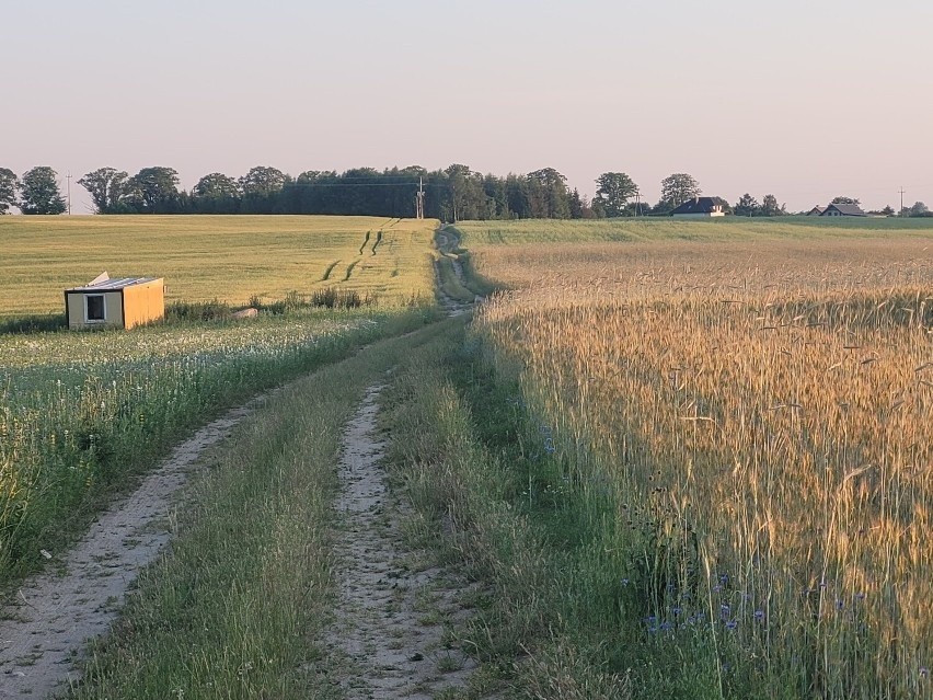 Kościerzyna na wakacje 2022. Czym zachwyca?