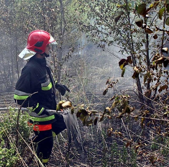 Dzisiaj około południa strażacy gasili pożar "na zwałce&#8221; w Dąbrowicy. Dzień wcześniej płonął las kilkaset metrów od tego miejsca.