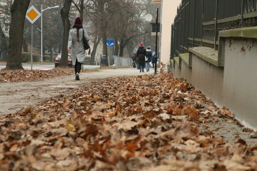 Czytelnik skarży się na niesprzątnięte liście w centrum Lublina. „To nie wygląda dobrze”