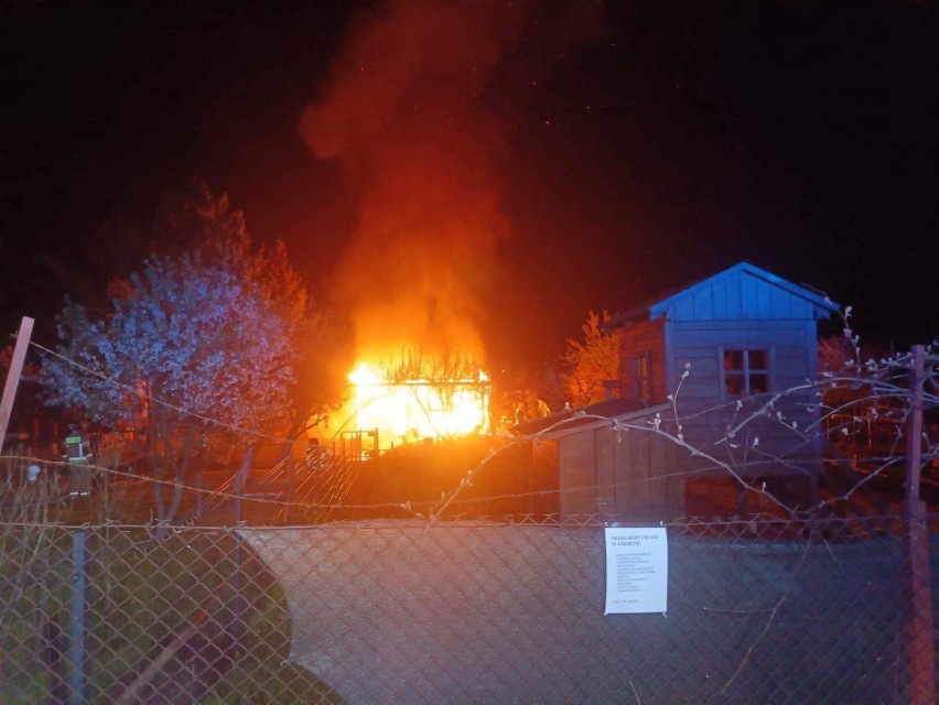 Pożar domku na ogródkach działkowych przy ul. Spółdzielczej w Rzeszowie