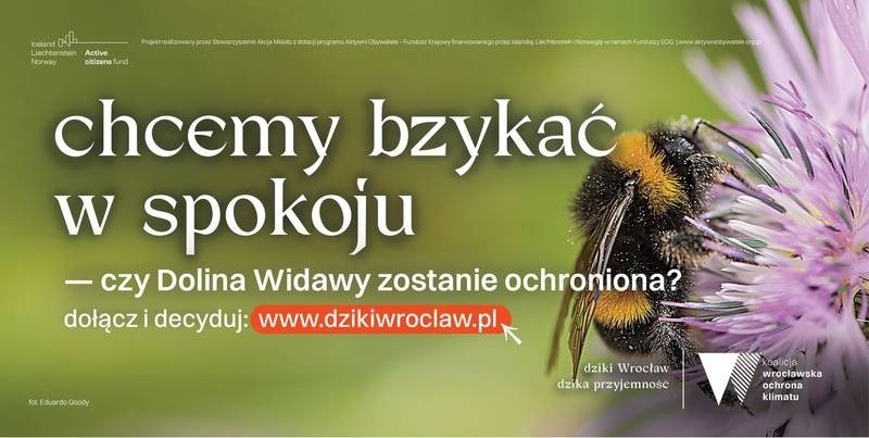 Jedna z największych we Wrocławiu kampanii ekologicznych...