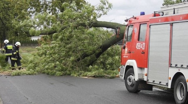 Interwencja strażaków w powiecie krotoszyńskim.Przejdź do kolejnego zdjęcia --->