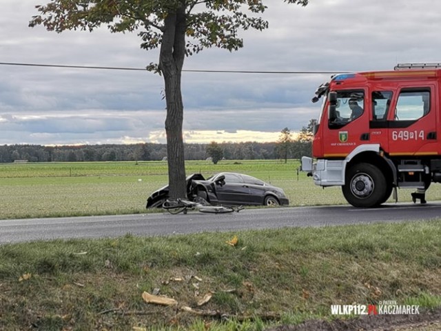 Do tragicznego wypadku na drodze nr 303 doszło w sobotę, 17 października, po godz. 14. Między Chobienicami a Wojciechowem (pow. wolsztyński) kierowca BMW śmiertelnie potrącił rowerzystkę. Przejdź dalej i zobacz, co stało się z kierowcą --->