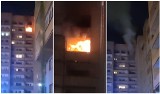 Pożar mieszkania na Ołbinie we Wrocławiu. Interweniowało dziewięć zastępów straży pożarnej. Jedna osoba zabrana do szpitala 