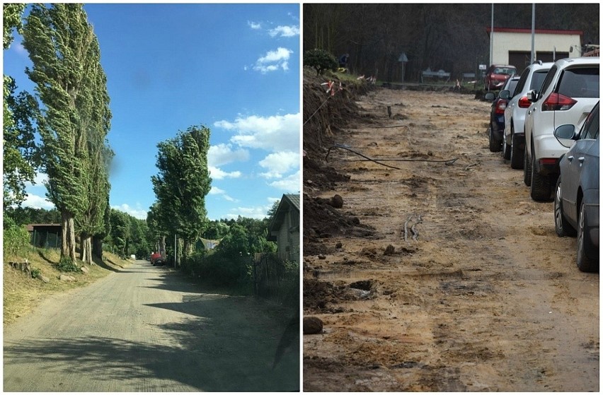 Projekt budowy drogi do plaży wymagał wycięcia starych...