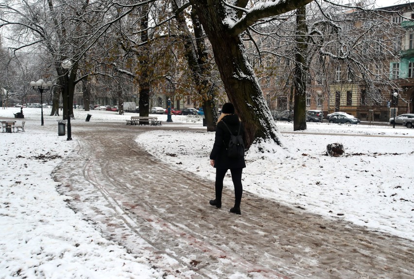 Pierwszy śnieg w Szczecinie! W końcu sypnęło białym puchem [ZDJĘCIA]