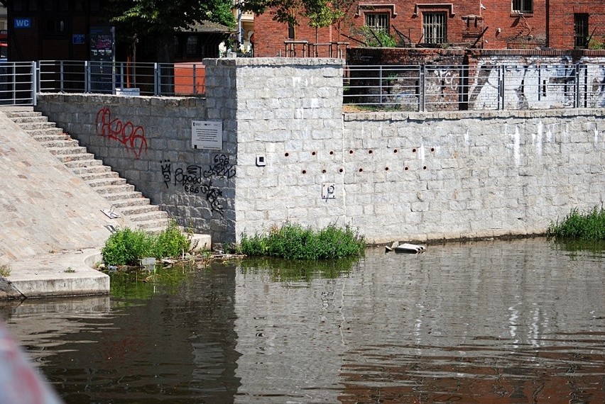 Kosz, wersalka, monitor – jak wrocławianie robią z Odry ściek