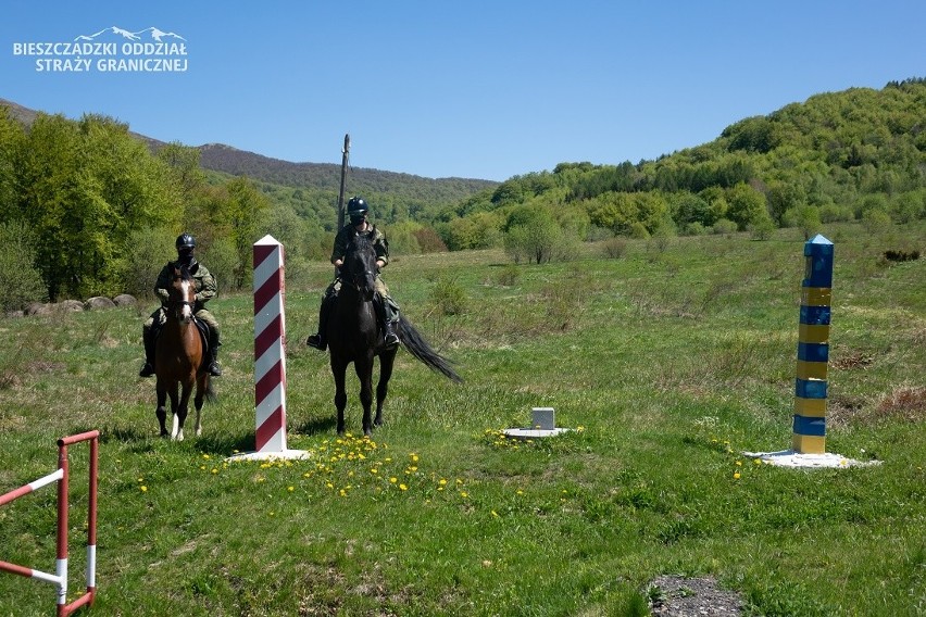 Bieszczady to jedynie miejsce w Polsce, w którym konie...