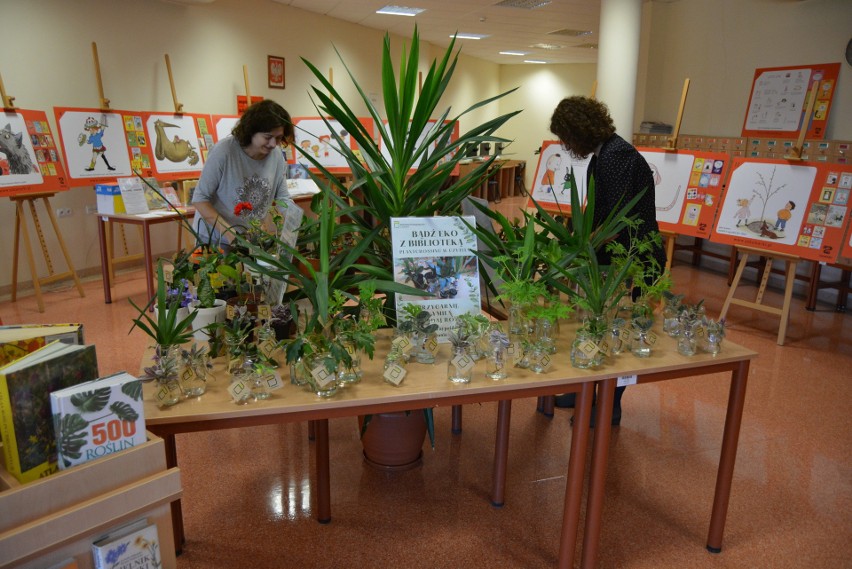 Ostrołęka. Biblioteka Pedagogiczna rozpoczyna 25.10.2021 akcję „Bądź eko z biblioteką – plantcrossing w Czytelni”